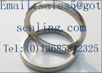 Oval Gasket